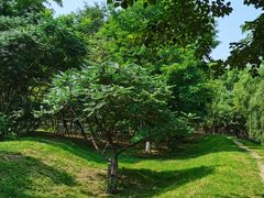 -长白岛森林公园