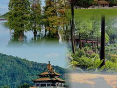 -顺峰山公园