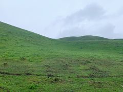 -新疆那拉提国家旅游度假区