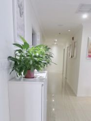 -SILKTONE诗丽堂美容