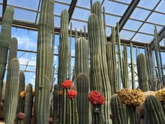 -南通洲际绿博园