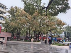 -桂山禾·桂林卤菜粉(上海首店)