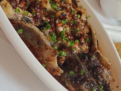 -金蝉食府(维吉奥广场店)