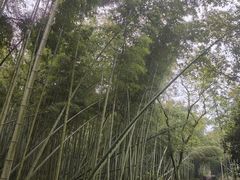 -宁波九龙湖开元度假村