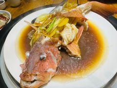 -77号渔船·蒸海鲜青岛菜(积米崖店)