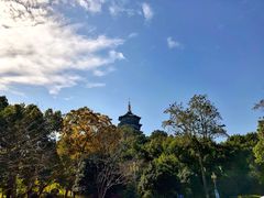 -浙江西子宾馆·牡丹厅