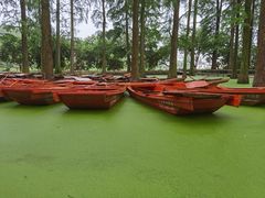 -About Bistro關於·泰式家庭料理