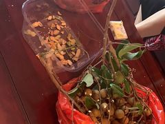 -田源农家饭店·窑鸡王·海鲜(东部湾·融创店)