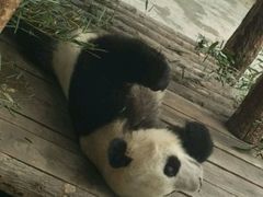 -太原动物园