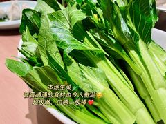 -協成海鮮火鍋(老店)