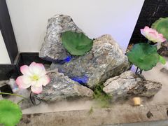 -大榕树下顺德菜(融创茂店)