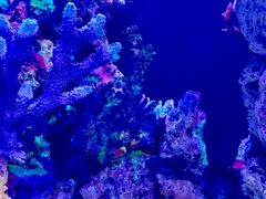 -海合安武汉极地海洋公园
