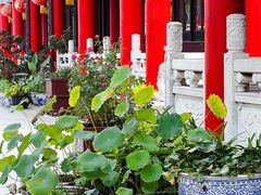 -皇罗禅寺