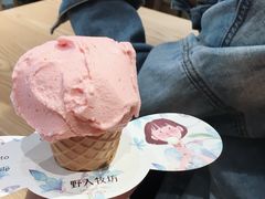 -野人先生现做冰淇淋(西安赛格店)