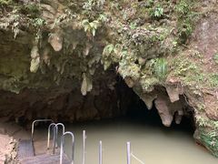 -怀托摩萤火虫洞