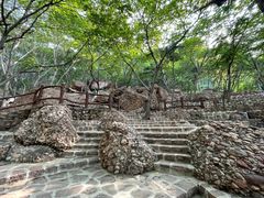 -山叶口景区