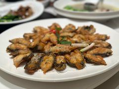 -滋粥楼·顺德菜(番禺广场总店)