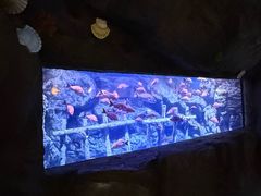 -南昌融创海世界