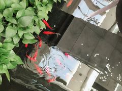 -旺顺阁鱼头泡饼(小红门店)