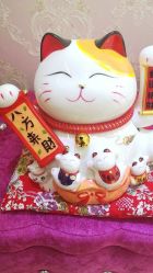 -蔓晨美甲工作室