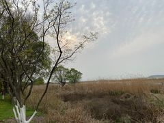 -苏州太湖国家湿地公园