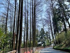 -莫干山风景区