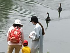 -南通濠河风景名胜区