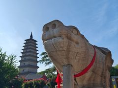 -正定古城-开元寺