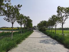 -天津东丽湖风景区