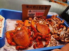 -悉尼鱼市场