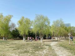 -大兴滨河森林公园