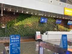 -张家界荷花国际机场