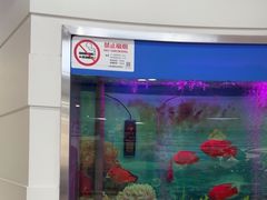 -雅悦齿科(顾村公园店)
