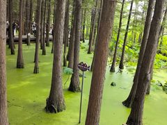 -云龙湖旅游景区