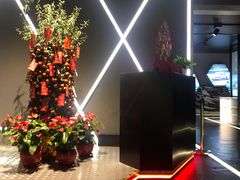 -魔赛卡丁车赛车汇(上海店)