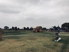 -嘉北郊野公园