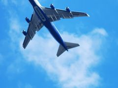 -春花秋色城市公园