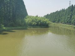 -黄海国家森林公园