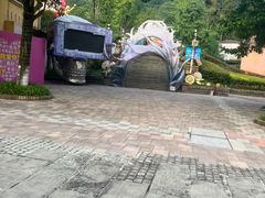-重庆海昌加勒比海水世界