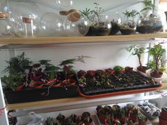 -A+匠心DIY手工坊·首饰·微景观