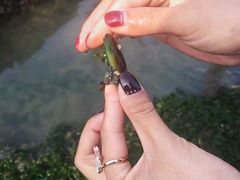 -碧桂园十里银滩
