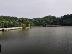 -西樵山风景名胜区-天湖公园