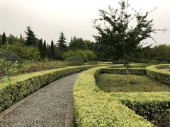 -洛阳市隋唐城遗址植物园