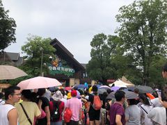 -苏州乐园森林水世界