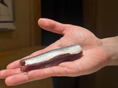 -镹·鱼料理  国产鱼使用店