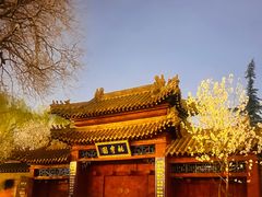 -桃花堤公园