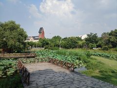 -美兰湖景区