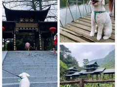 -紫云谷景区