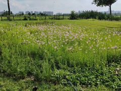 -汉长安城未央宫国家考古遗址公园