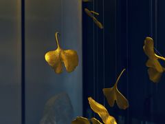 -京华烟云·北京烤鸭(领展购物广场·中关村店)
